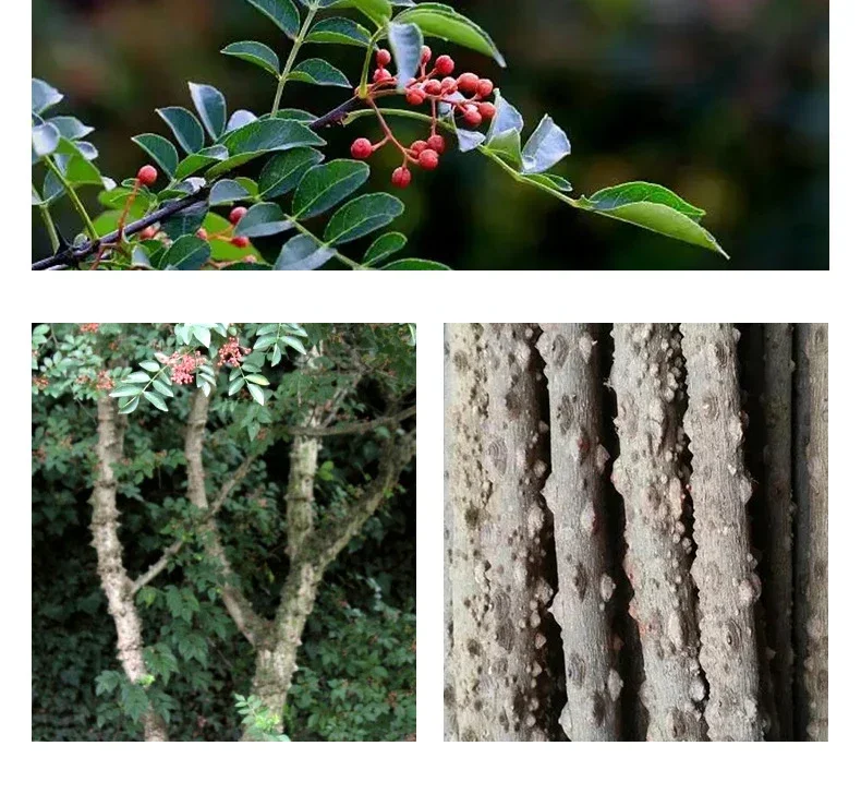 Natural Wooden Parrot Bird Toy Wood Parrot Chew Toy Chewing Cardboard Destroy Birds Toy Bird Cage Decoration Bird Supplies - Image 12