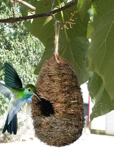 Moisture-Proof Outdoor Bird Nest, Grass Bird House, Hanging Parrot Nest, Houses, Bird Supplies