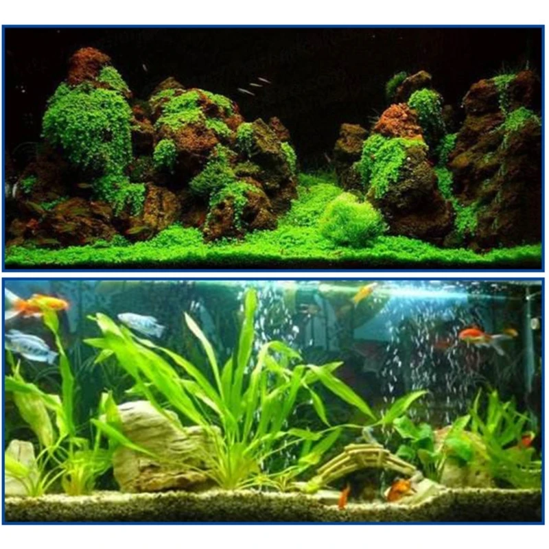 Fish Tanks Landscaping Aquarium No Marks Aquarium Supplies - Image 5