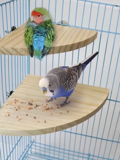 Parrot Stand Toys Wooden Bird Hamster Perch Platform Stands Playground Bird Supplies