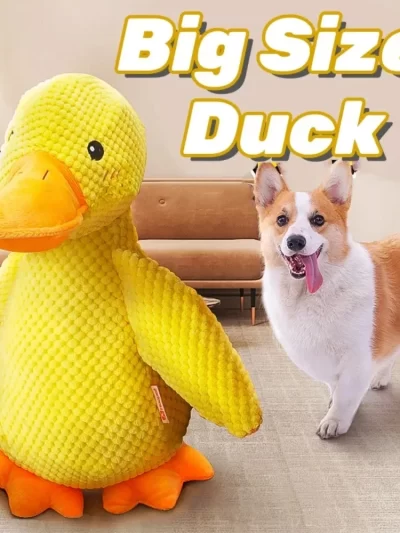 Cat and dog toys Plush molars sound puppy alone heart extractor artifacts Golden retriever Corgi dog pet supplies