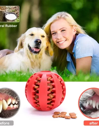 Dog Food Ball Pet Dog Toy Interactive Rubber Balls for Small Large Dogs Puppy Cat Chewing Toys Pet Tooth Cleaning