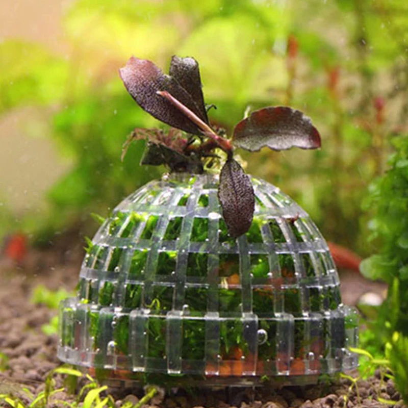 Aquatic Pet Supplies Decorations Aquarium Moss Ball Live Plants Filter Pet Decor - Image 7