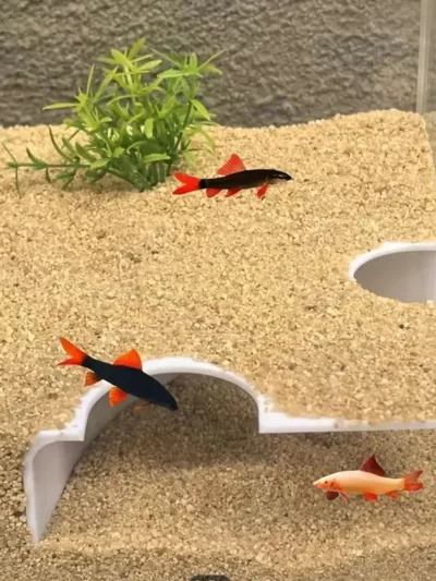 Fish Tank Accessories 3D Print Fish Shelter Cave Plastic Decorative Fish Tunnel Betta Shelter Artificial Resting Cave Aquariums