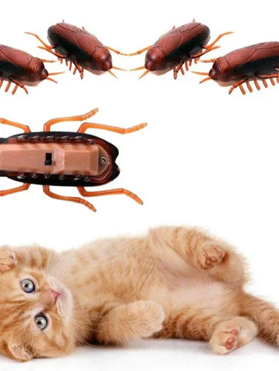 1pcs Funny Electronic Pet Interactive Play Toy For Cats Eletric Running Cockroach Pet Dog Cat Interactive Toy Battery Powered