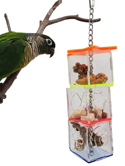 Bird Seeker Acrylic Parrot Puzzle Training Bird Toys Bird Supplies Parrot Toys