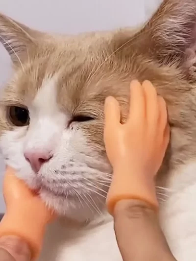 Adult Kid Novelty Toys Funny Mini Hands Creative Finger Fidget Toys Simulation Soft Small Hand Tease the Cat Pet Toy Simulation