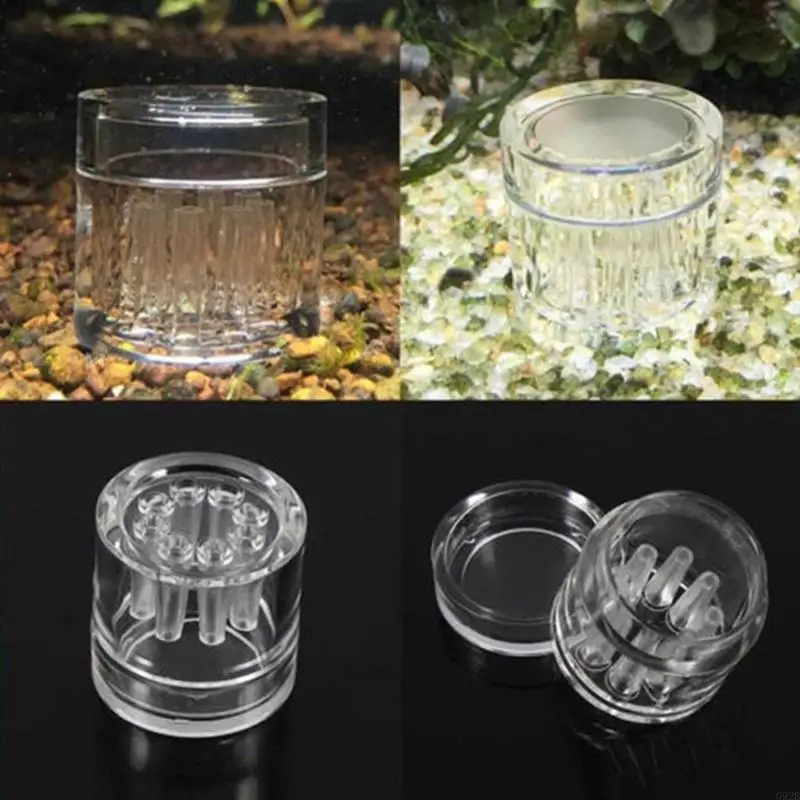 Planaria Trap Catch Trap Leeches Catcher Aquarium Supplies Clear Acrylic 8 Holes - Image 5