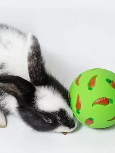 Rabbit Treat Ball Pet Slow Feeder Interactive Bunny Toy Snack Toy Ball Bite Resistant Feeding Toys Ferret Kitty Guinea Pig Cat