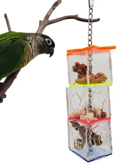 Bird Seeker Acrylic Parrot Puzzle Training Bird Toys Bird Supplies Parrot Toys