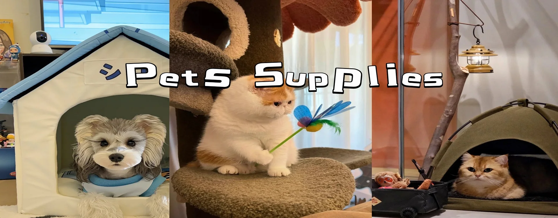 Pet Toys with Suction Cup Dog Push Toy with TPR Ball Pet Tooth Cleaning Chewing Rubber Dog Toys for Small Dogs Rubber Dog Toy - Image 8