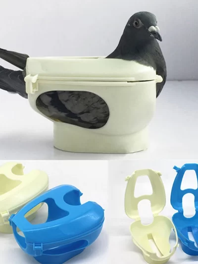 1Pc Racing Pigeon Holder For Injection Feeding Vaccination Mount Bird Supplies