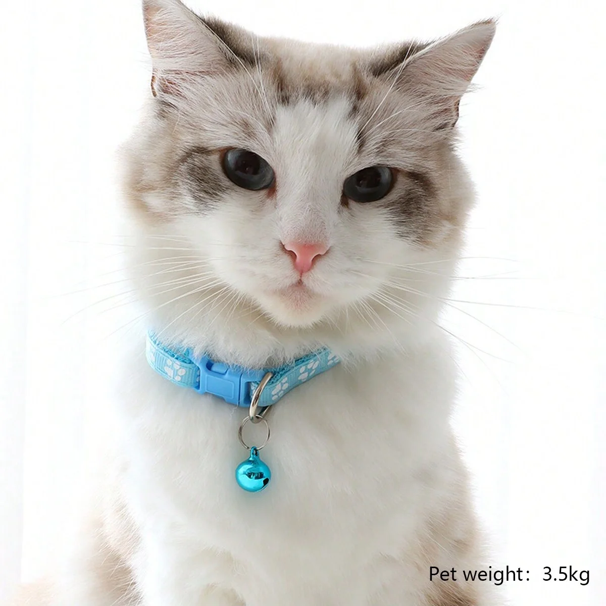 1pc-Cartoon dog leash and collar set, dog leash and collar durable walking pet supplies - Image 4