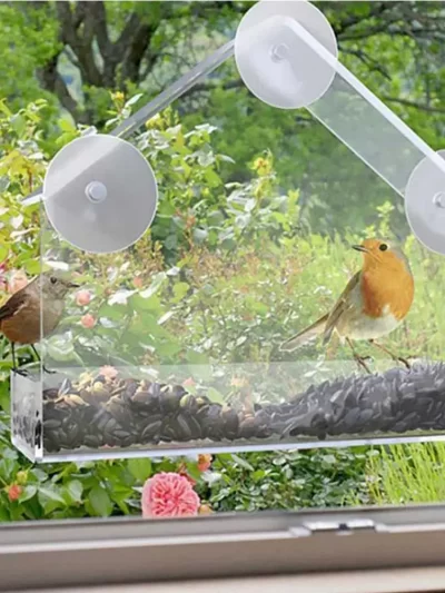 NEW Window Type Bird Feeder, Reusable Tray, Waterproof Transparent Squirrel Food Container, Outdoor Suction Cup Installation