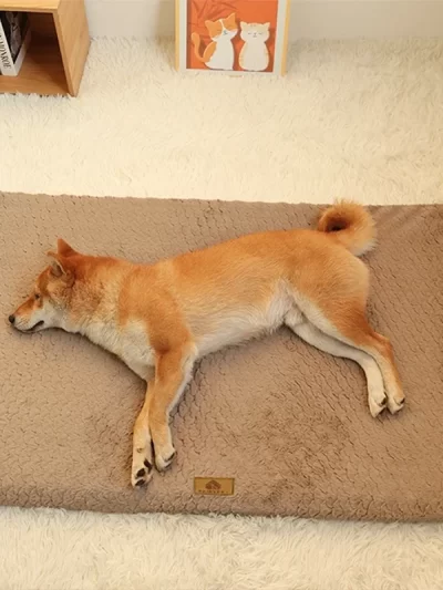 Dog Bad Pets Dogs Accessories Medium Bed Big Mat Sofa Cushion Supplies Cushions Pet Products Puppy Small Baskets Large Beds Cats