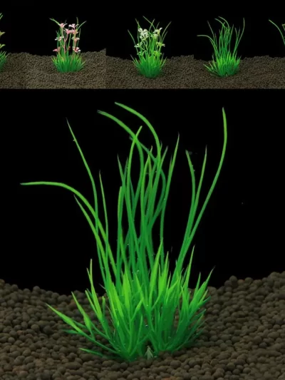 Aquarium Accessories 13cm Artificial Aquarium Plants Green Simulation Aquatic Green Plant Plastic Water Weeds Ornament Fish Tank