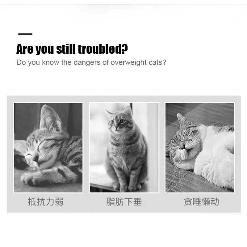 Intelligent Escaping Toy Cat Dog Automatic Walk Interactive Toys For Kids Pets Infrared Sensor Rabbit Pet Supplies Accessories - Image 12