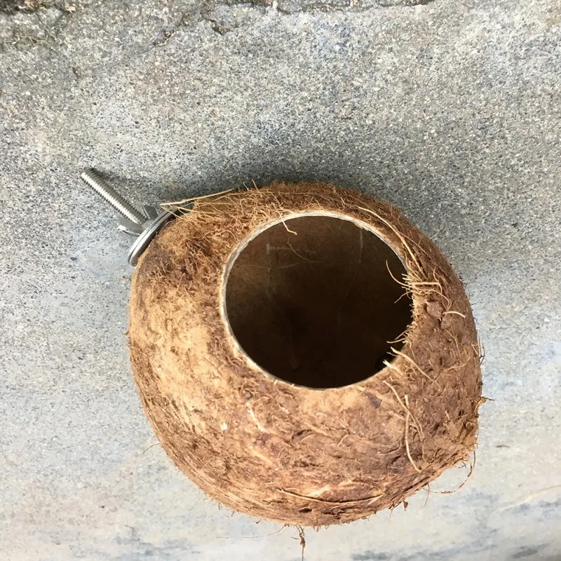 Coir Pet Nest Parrot Coir Bird Nest Squirrel Hamster Breeding Nest Pure Natural Coconut Hole Bird Nest 12-16cm Random Shipped - Image 4