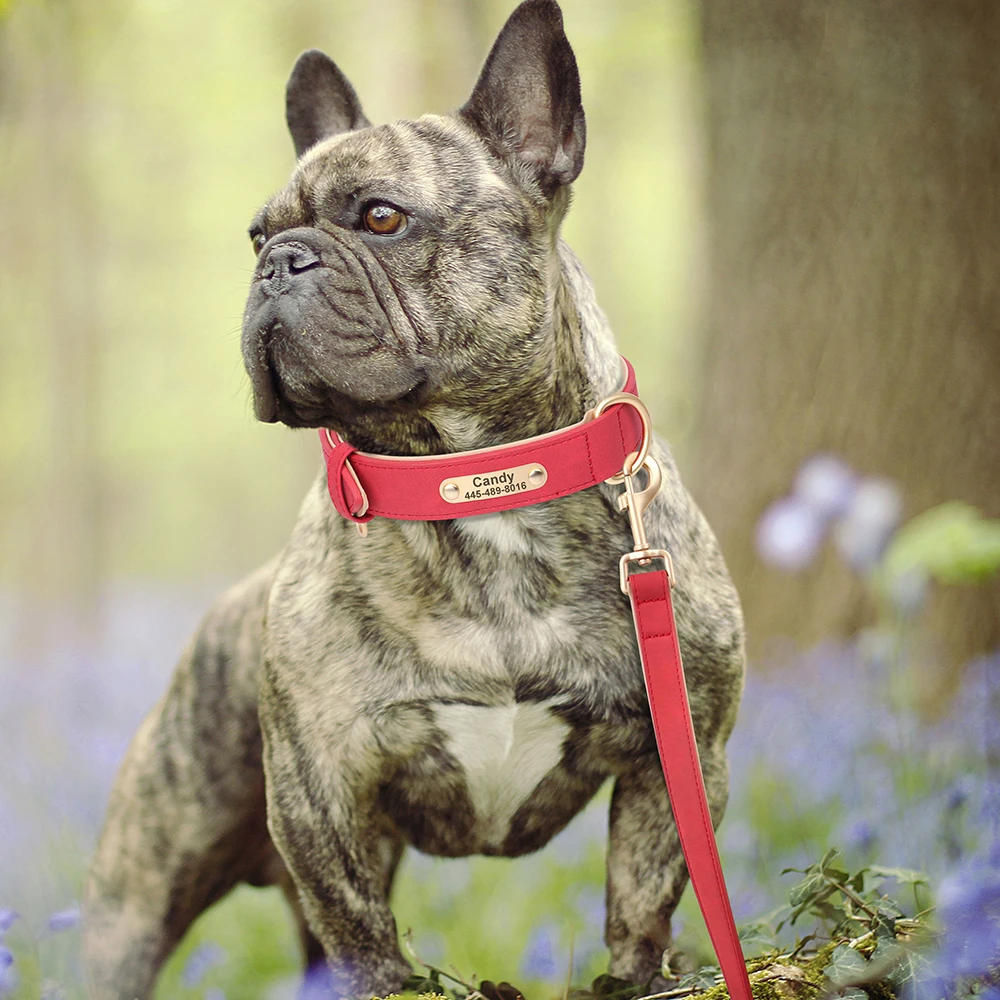 120cm Pet Dog Leash Soft PU Leather Padded Handle Dogs Lead Leash for Dog Walking Training German Shepherd Golden Retriever - Image 15