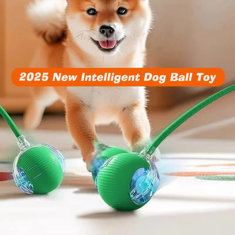 New Dog Interactive Ball Toy,Automatic Rolling Dog Ball Rechargeable,Smart Puppy Interactive Toy,Intelligent Balls Toy for Dogs - Image 17