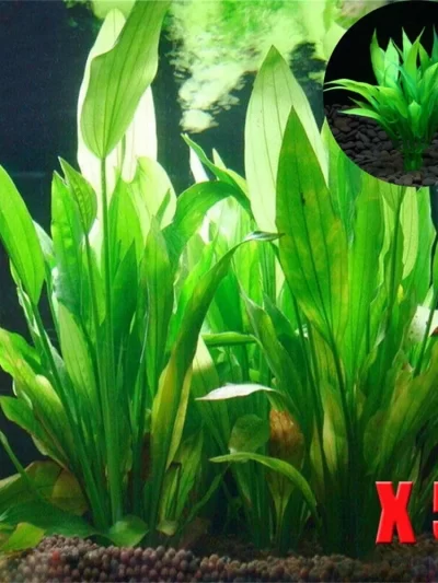 5pcs Aquarium Artificial Plants Decor Plastic Aquatic Plants Grass for Fish Tank Decoration Home Aquarium Accessories