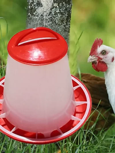 1.5L Chicken Poultry Feeder Bird Quail Food Drink Water Automatic Plastic Bucket