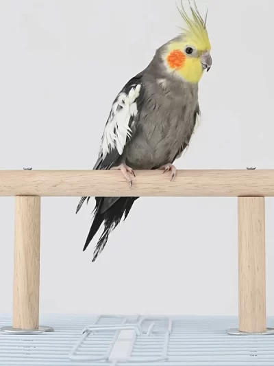 Durable Wooden Bird Perch Stand Parrot Toys For Standing Playing Bird Supplies
