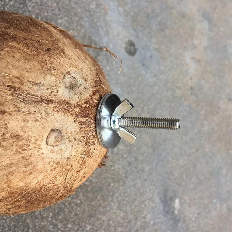 Coir Pet Nest Parrot Coir Bird Nest Squirrel Hamster Breeding Nest Pure Natural Coconut Hole Bird Nest 12-16cm Random Shipped - Image 8