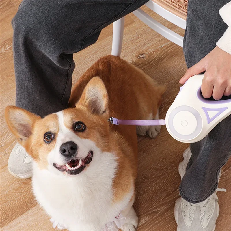 LED Equipped Retractable Pet Leashes Ideal for Night Outdoor Walks Small to Medium Breeds Non Slip Handle Durable - Image 2