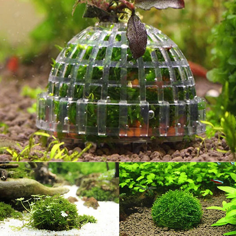 Aquatic Pet Supplies Decorations Aquarium Moss Ball Live Plants Filter Pet Decor - Image 6