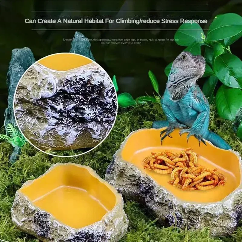 Pet Reptile Water Bowls Terrarium Plate Reptile Feeder Amphibian Feeding Bowl for Frog Chameleon Tortoise Bearded Dragon Turtle - Image 2