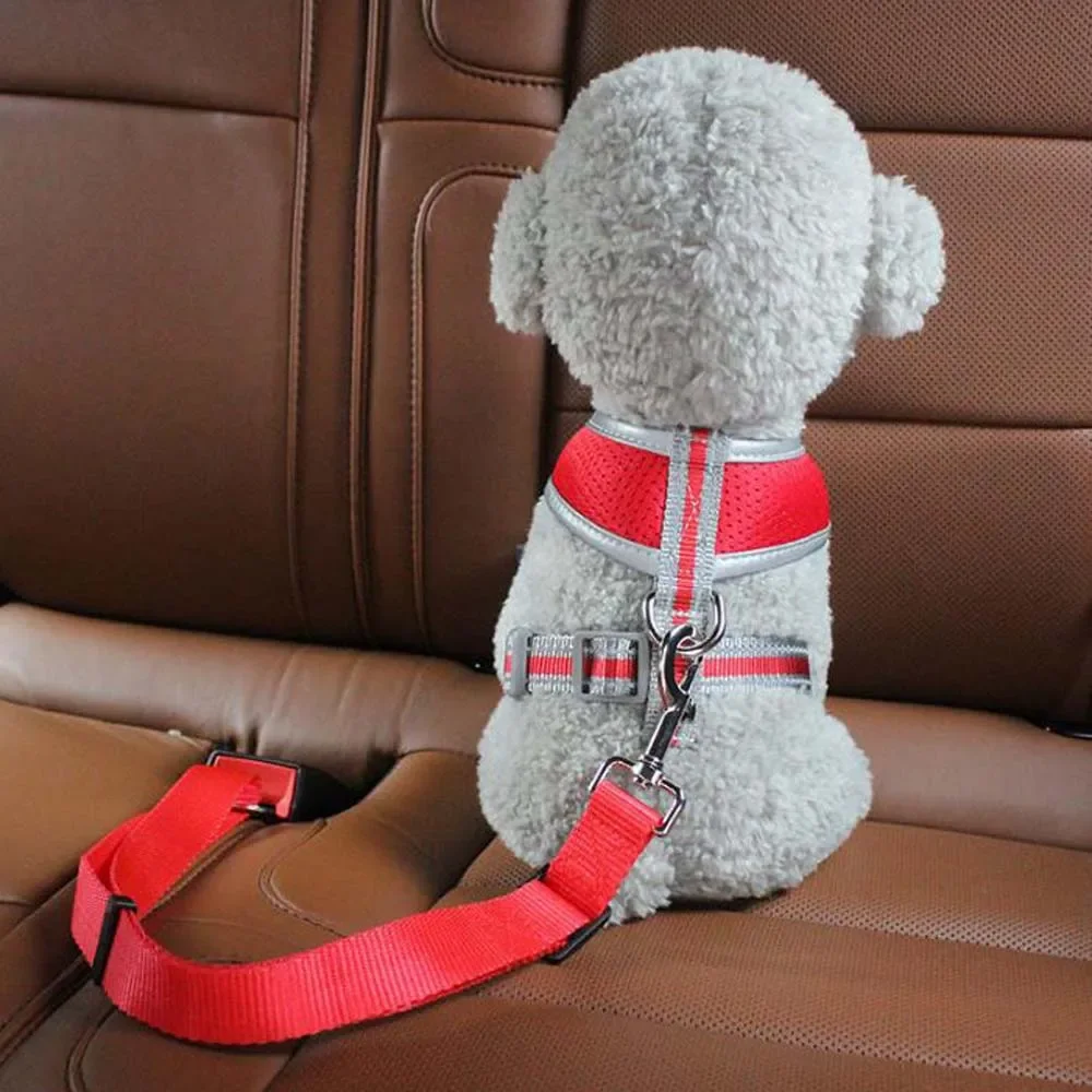 1PC Pet Car Safety Buckle Car Pet Safety Belt, Suitable for Small and Medium-sized Dogs, Pet Out Safety Supplies - Image 4