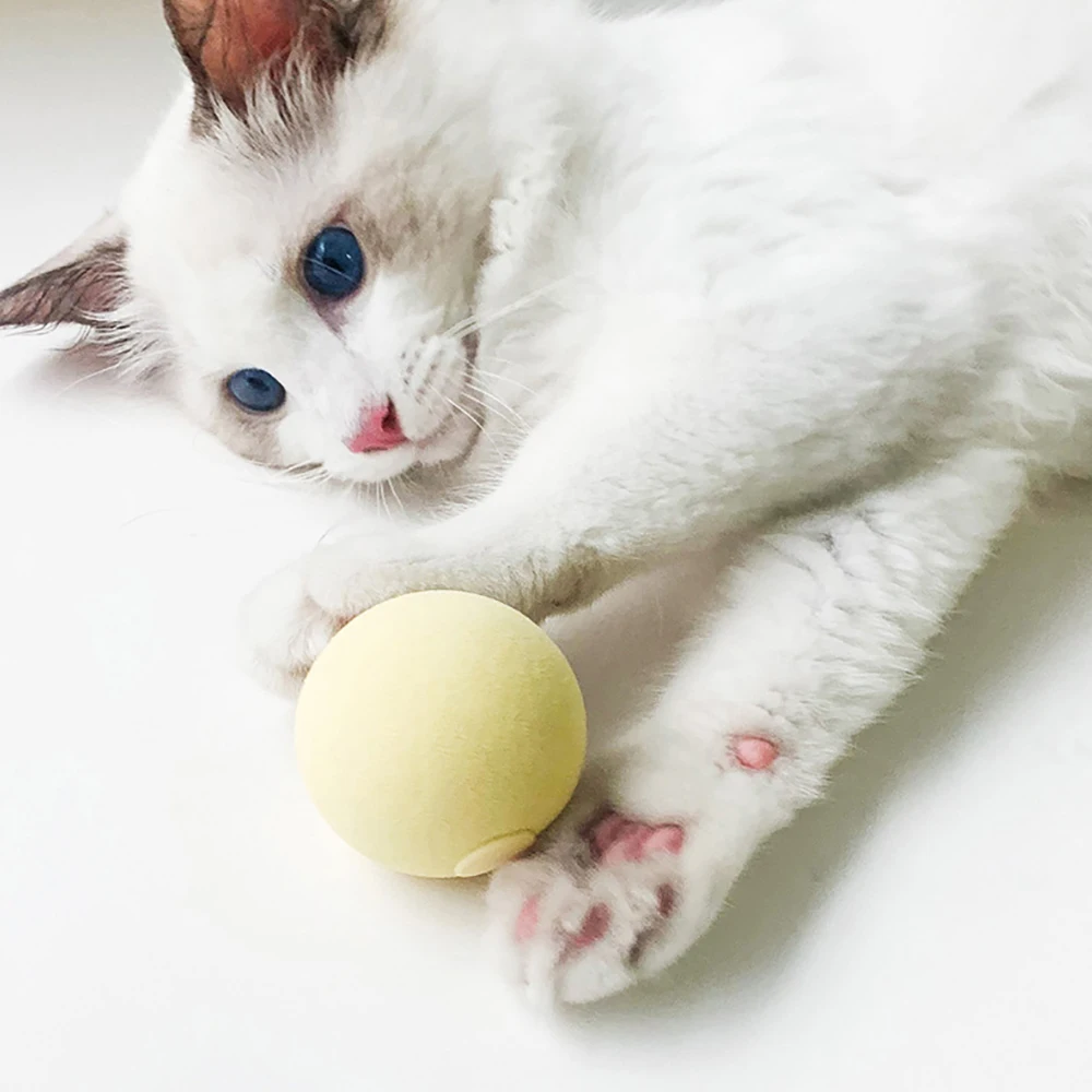 for Cats Training Kitten Puppy Toys for Indoor Play Cat Ball Toys Smart Dog Toys Interactive - Image 3