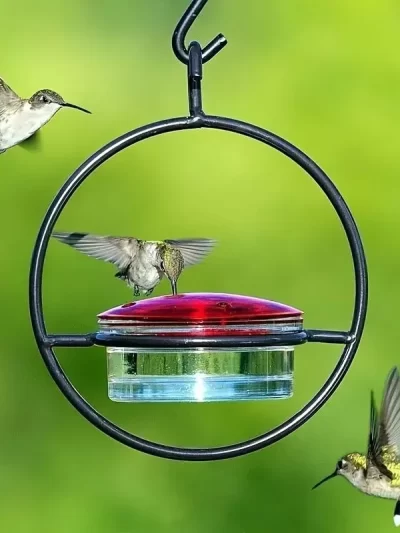 Circular Hanging Hummingbird Feeder Water Feeders for Bird Courtyard Gardens Bird Supplies