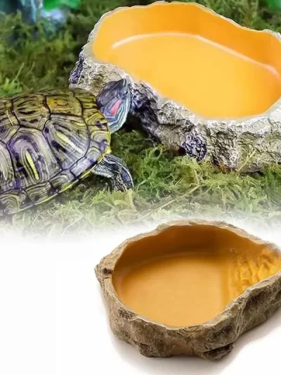 Pet Reptile Water Bowls Terrarium Plate Reptile Feeder Amphibian Feeding Bowl for Frog Chameleon Tortoise Bearded Dragon Turtle