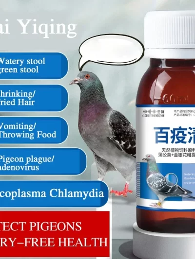 Green water stools, pigeon medicine, Newcastle disease, bursitis, pigeon supplies, racing pigeons, parrots, bird supplies